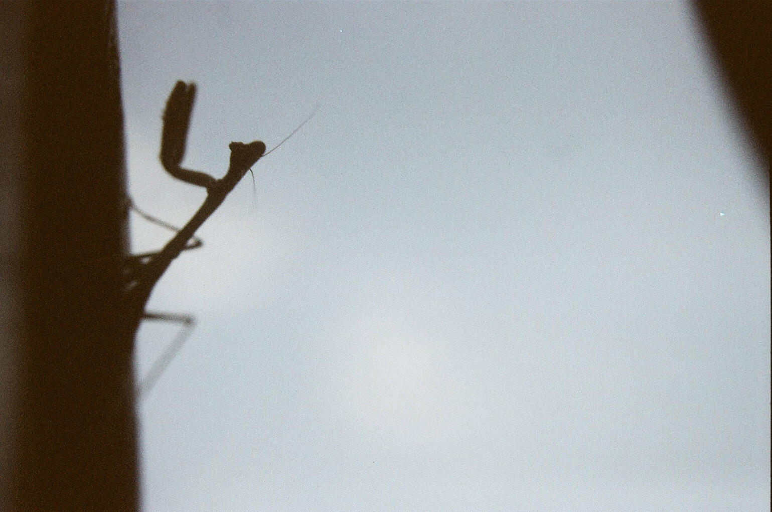 Open, 2023 Canon EOS Rebel